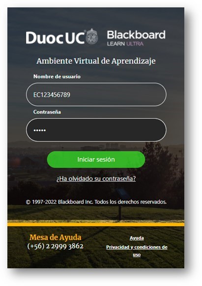 Imagen1.jpg